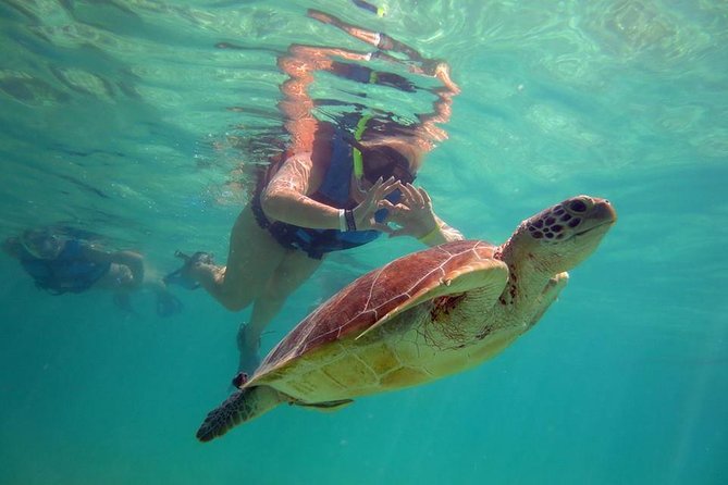 Private Experience: Akumal sea turtles encounter and Yal-kú lagoon colorfull fish snorkel. - What makes the private format worth considering
