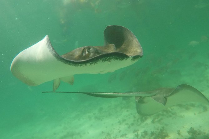Private Fishing Tour in Yacht Playa del Carmen - The $920 price and who gets good value