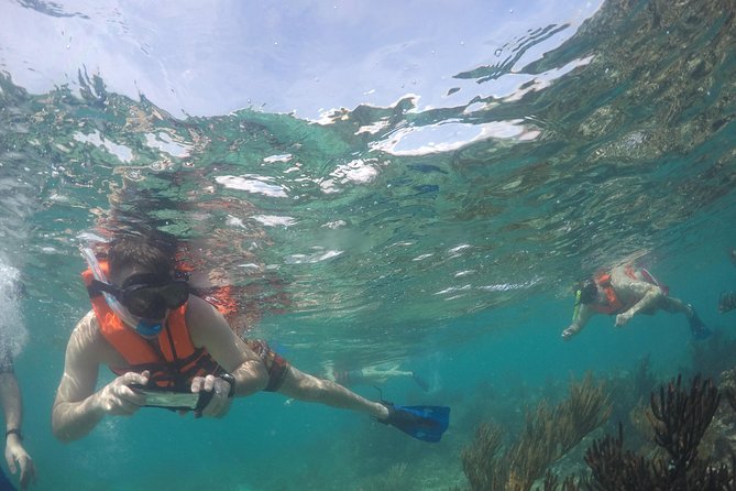 Private Fishing Tour in Yacht Playa del Carmen - What beginners should know before booking
