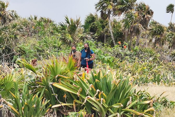 Private Full-Day Guided Tulum Coba and Cenote Tour with Lunch - Who should book this tour?