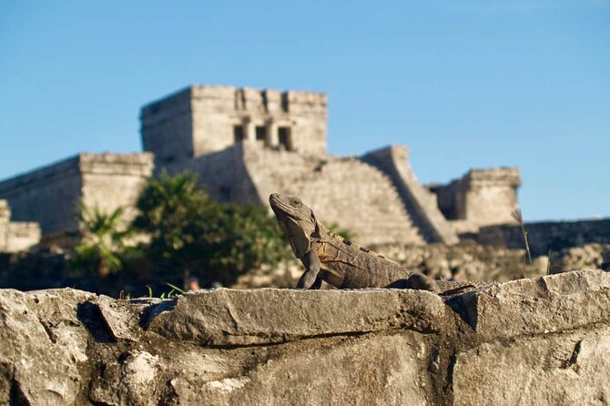 Private Half Day Tour to Tulum Temples and Downtown Shopping - Timing, pickup windows, and how to prepare