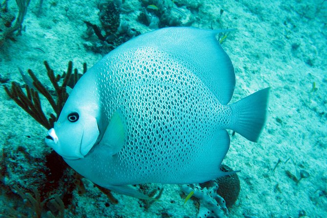 Private Isla Mujeres Adventure & Free Time - What $545 per person really buys