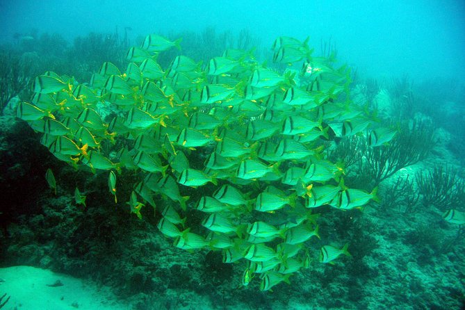 Private Isla Mujeres Adventure & Free Time - Who will enjoy this Isla Mujeres day