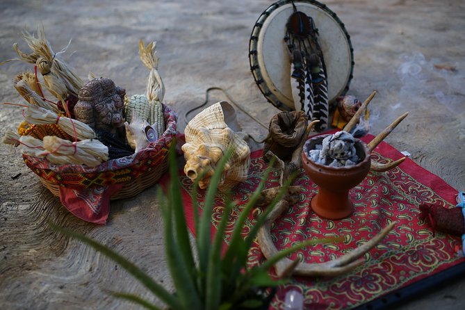 Private or Small-Group Temazcal Maya Ritual from Playa del Carmen - The cold bath, hammock, fruit, and drinks
