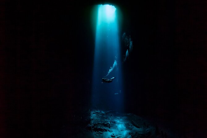 Private Scuba Diving in Cenote around Playa del Carmen - Why cenotes make this a different kind of scuba day