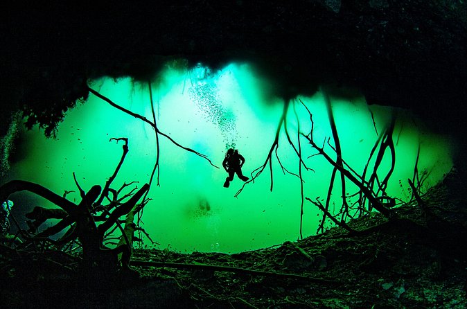 Private Scuba Diving in Cenote around Playa del Carmen - Two 45-minute underwater sessions