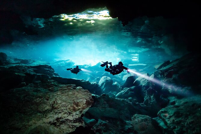 Private Scuba Diving in Cenote around Playa del Carmen - What the private format is really worth
