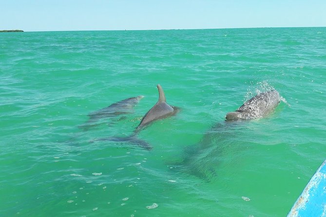 Private Sian Kaan Biosphere Tour - Why Sian Ka’an is worth the long ride