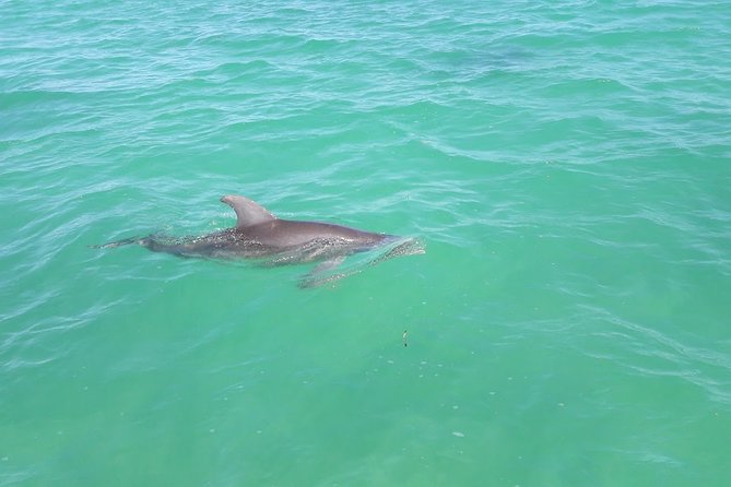 Private Sian Kaan Biosphere Tour - The road from Playa del Carmen to Punta Allen