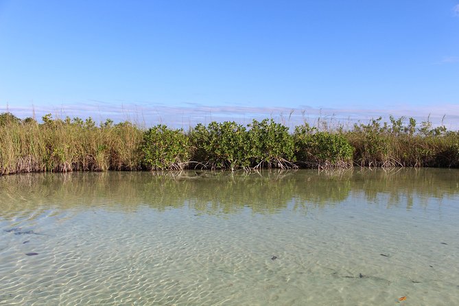 Private Sian Kaan Muyil Lazy River Tour - Crossing the Chunyaxche lagoons by boat