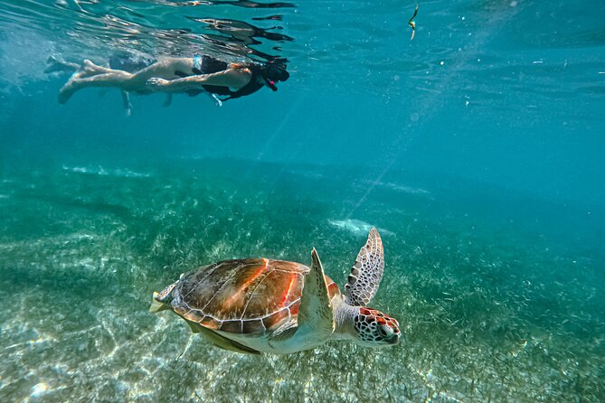 "Private snorkeling with turtles in Akumal + Photos included" - Getting ready with equipment, lockers, and showers