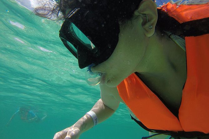 Private Tour: Akumal Marine Turtle Snorkeling and Cenote Adventure - Is $695 good value for your group?