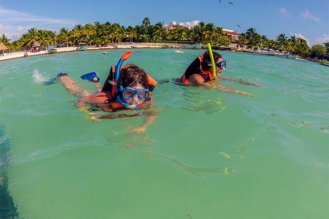 Private Tour: Akumal Marine Turtle Snorkeling and Cenote Adventure - Booking, cancellation, and small practical details