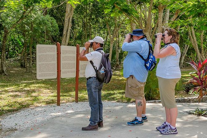 Private Tour: Birdwatching Playa del Carmen - Why the 6:00 am start matters in Sian Kaan