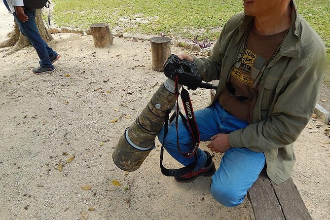 Private Tour: Birdwatching Playa del Carmen - Private attention, up to four people