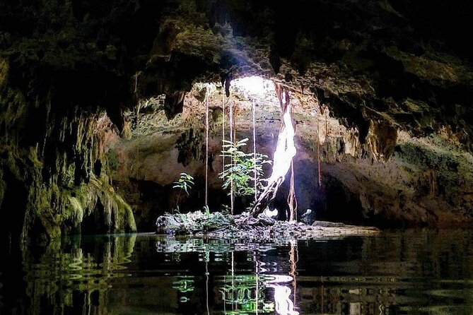 Private Tour Cenotes Sac Actun The Longest Underground River - Guides who can make the day work