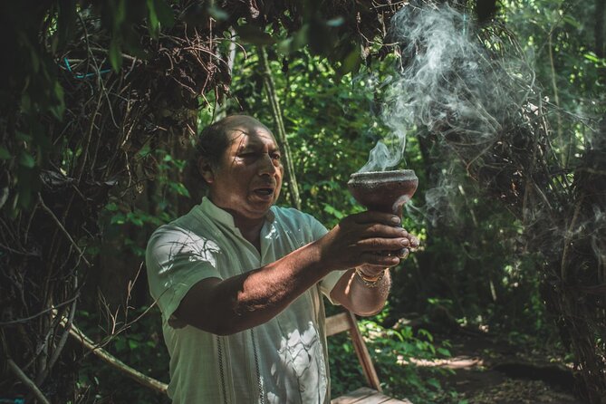 Private Tour Coba Ruin Punta Laguna Monkey Spider Cenote Mayan Village - Punta Laguna and its spider monkeys