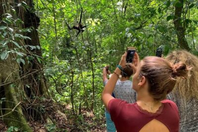 Private Tour: Coba ruins & Monkey Sanctuary with Punta Laguna