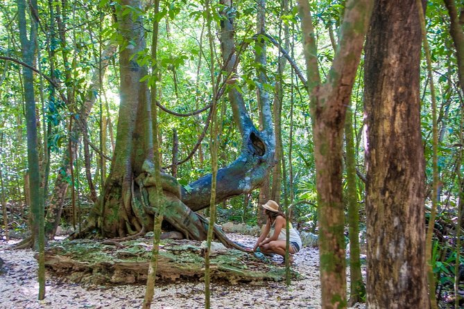 Private tour of Tulum Archaeological Site & Sian Ka'an Muyil - Tacos and a healthy picnic between major stops