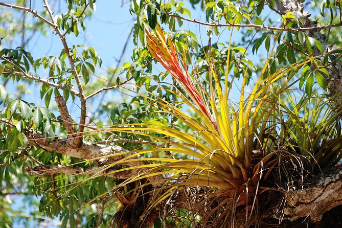 Private tour of Tulum Archaeological Site & Sian Ka'an Muyil - What to pack for this particular day