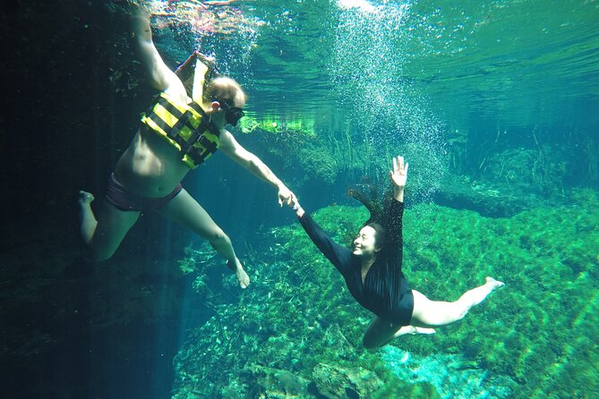 Private Tour Swim with Turtles, 2 Cenotes & Gopro - Timing, pickup, and what the value depends on