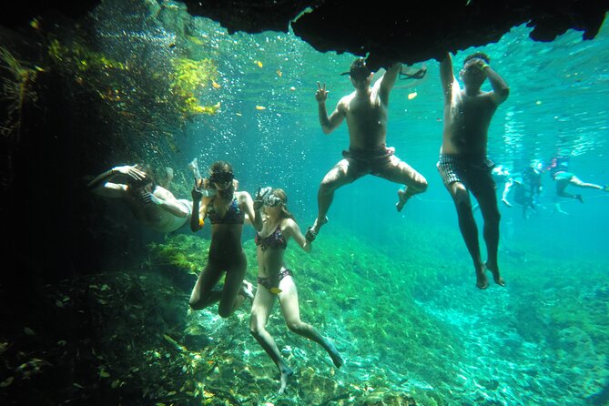 Private Tour Swim with Turtles, 2 Cenotes & Gopro - Who should book this experience