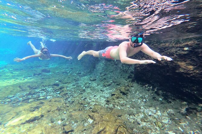 Private Tour The Best Cenotes in Tulum Riviera Maya - Gran Cenote: clear water, turtles, and an easy first look