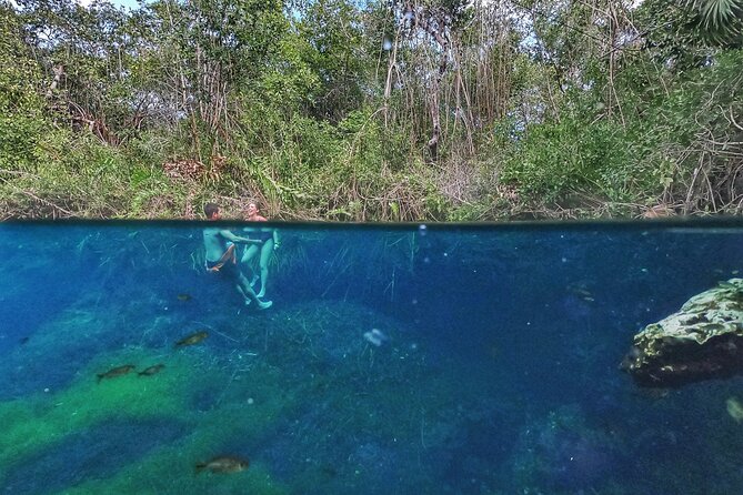 Private Tour The Best Cenotes in Tulum Riviera Maya - The open-air cenote and the freedom to set your pace