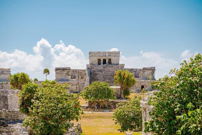 Private Tour to Tulum and Swimming with Turtles in Akumal - Key points to know before booking