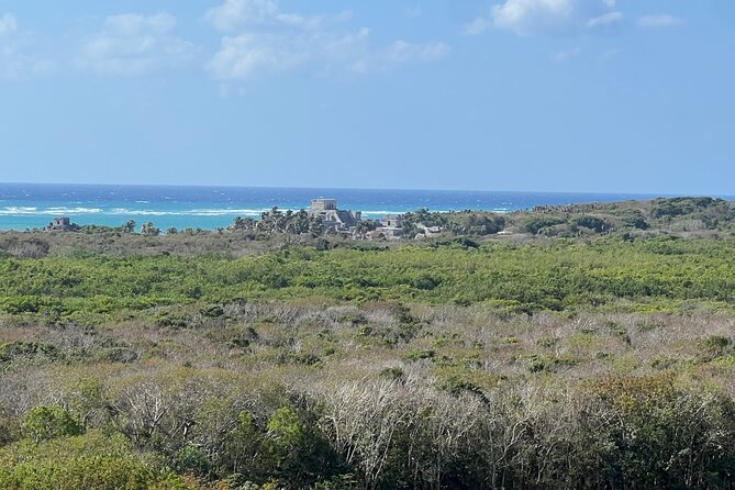 Private Tour to Tulum and Swimming with Turtles in Akumal - What the $170.55 price includes