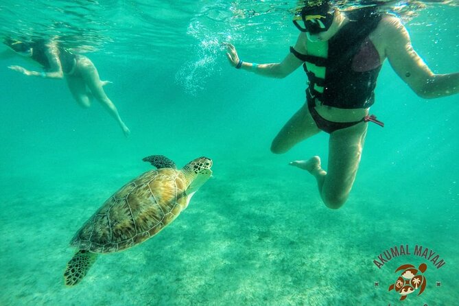 Private Tour to Tulum and Swimming with Turtles in Akumal - A few practical ways to prepare