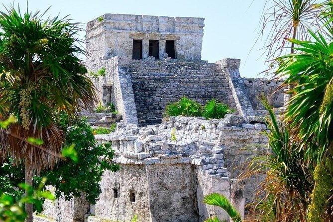 Private Tour to Tulum, Cenote and Swimming with Turtles - Why this private Tulum and turtle tour works