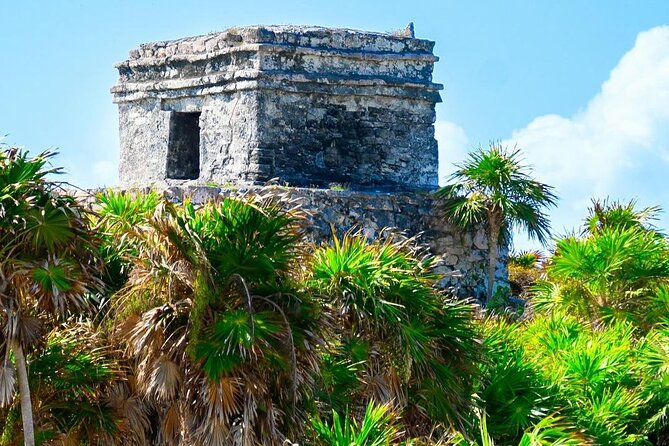 Private Tour to Tulum, Cenote and Swimming with Turtles - Who should book this outing