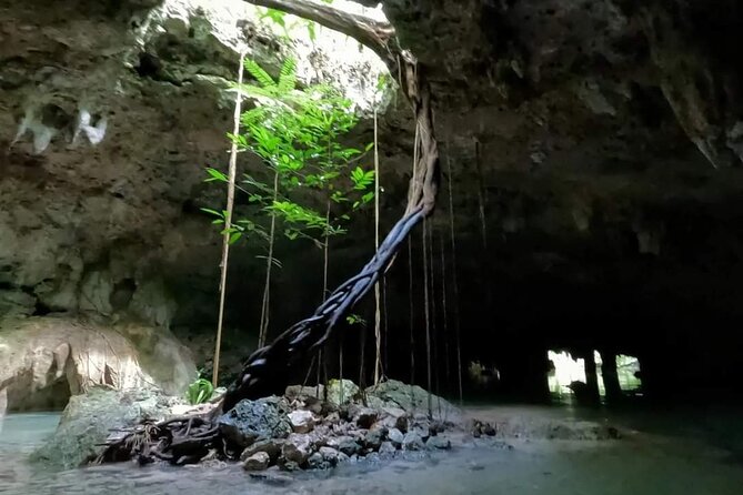 Private Tour to Tulum Cenotes Sac Actun - What the water portion is really like