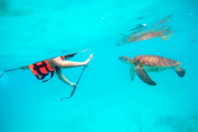 Private Tour Tulum, Reef & Cenote-Cavern from Playa del Carmen - Why this makes a strong Riviera Maya day