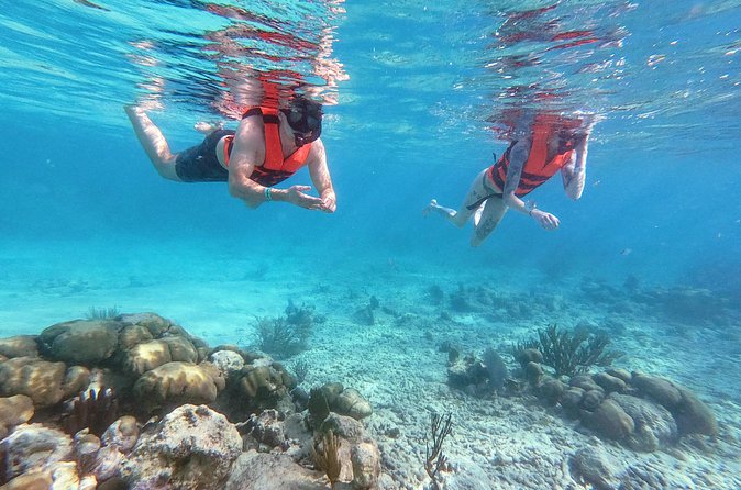 Private Tour Tulum Ruins and Snorkeling in National Park - Lunch adds real value to the long day