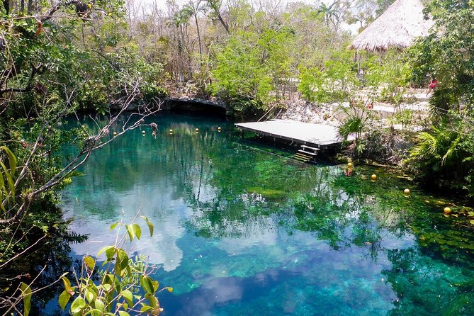 Private transfer for 5 hours (go dinner,cenotes, shopping and more) - Leather Seats, Air-Conditioning, and Group Comfort
