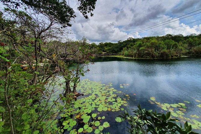 Private - Tulum Ruins and 3 Cenotes Jungle Adventure - What private transport changes