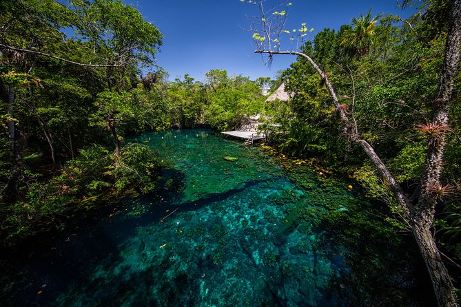 Private - Tulum Ruins and 3 Cenotes Jungle Adventure - Timing, fitness, and what to bring