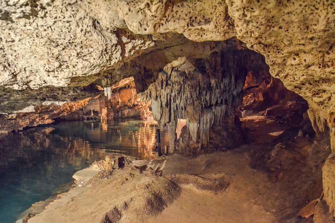 Private Tulum Ruins, Turtles in Akumal and Cenote Adventure - The cenote’s cool freshwater world