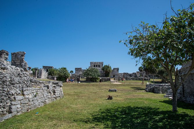 Private Tulum Ruins, Turtles in Akumal and Cenote Adventure - How the day feels in practice