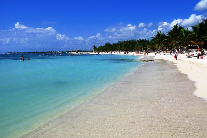 Private Turtle Snorkel Adventure in Akumal - Who will enjoy this private Akumal trip