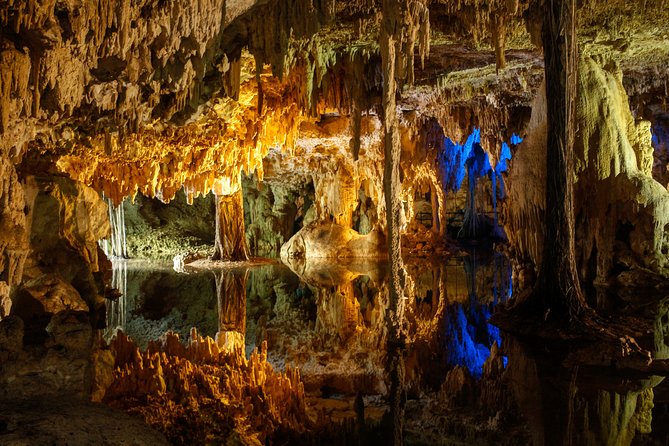 Private Turtles & Cenotes Adventure - A freshwater cenote under the forest