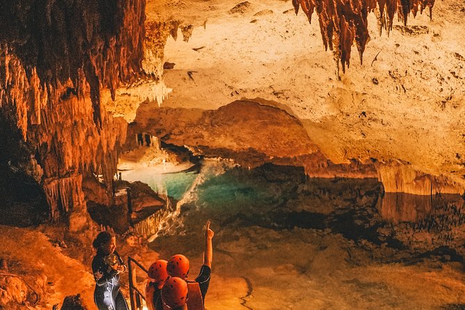 Private Turtles & Cenotes Adventure - What the private format really changes