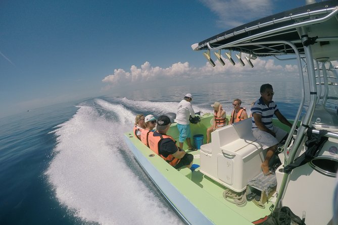 Private Whale Shark All Inclusive Experience - Families, older adults, and nervous swimmers