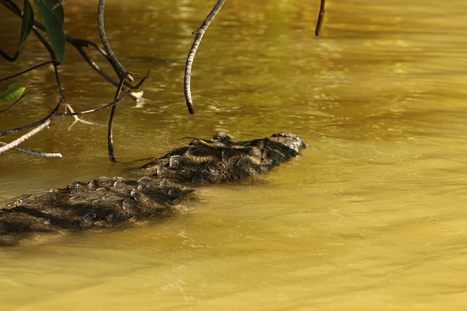 Private Yucatan Discovery Tour - The private guide is the central value