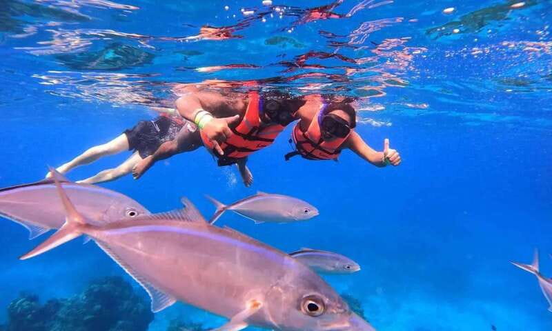 Puerto Morelos: Guided Snorkeling Tour with Gear & Fees - Key points to know before you book