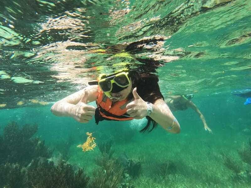 Puerto Morelos: Guided Snorkeling Tour with Gear & Fees - Marine life: excellent possibilities, no guarantees