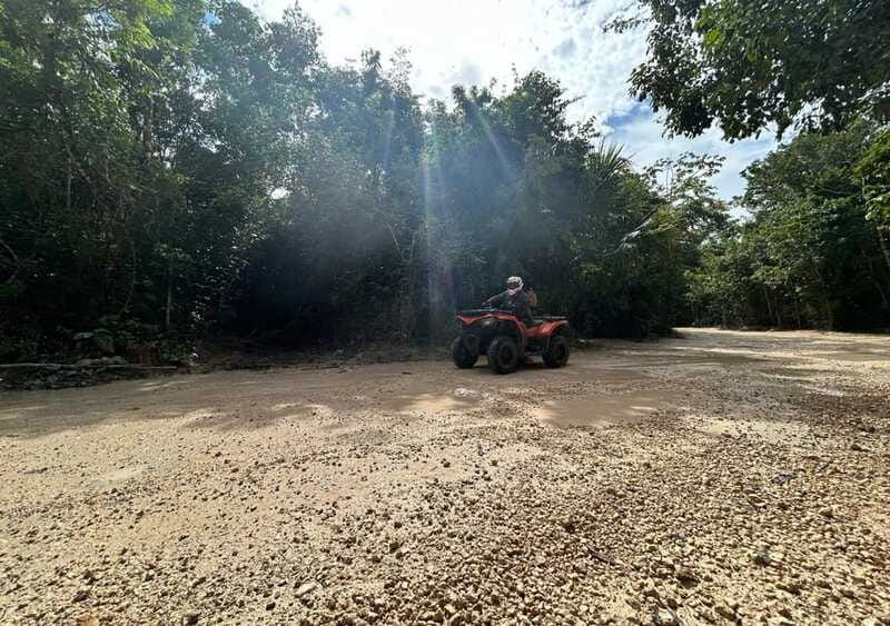 Puerto Morelos: Jungle ATV Adventure, Ziplines and Cenote - Cooling off in a natural cenote