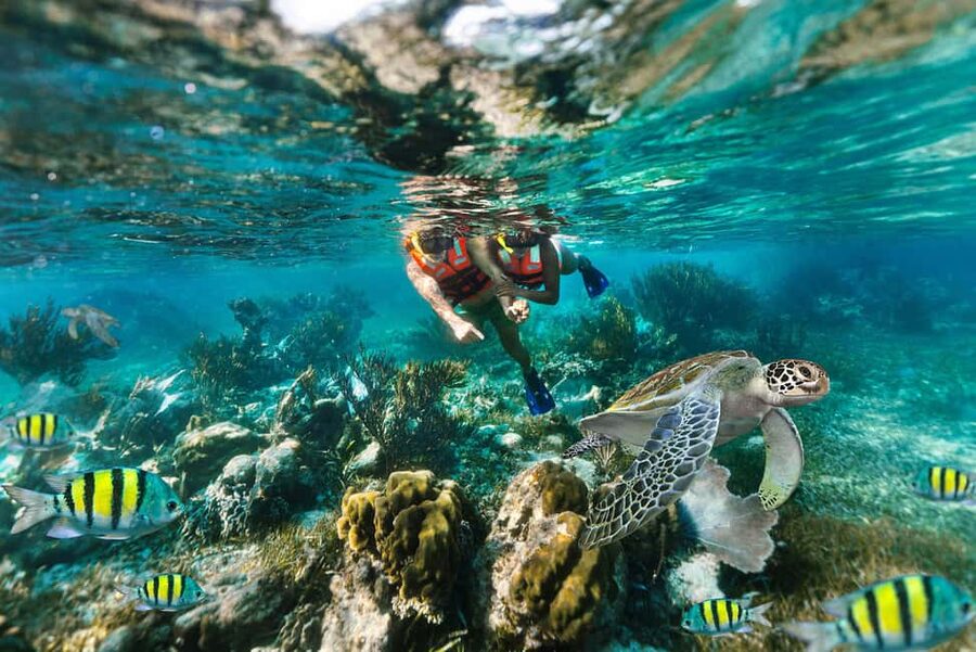 Puerto Morelos: National Reef Park Snorkeling & Beach Lunch - The reef: one hour with fish, coral, and a light current